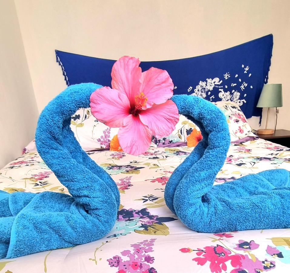 Cabanas Henua Roa ハンガ・ロア エクステリア 写真