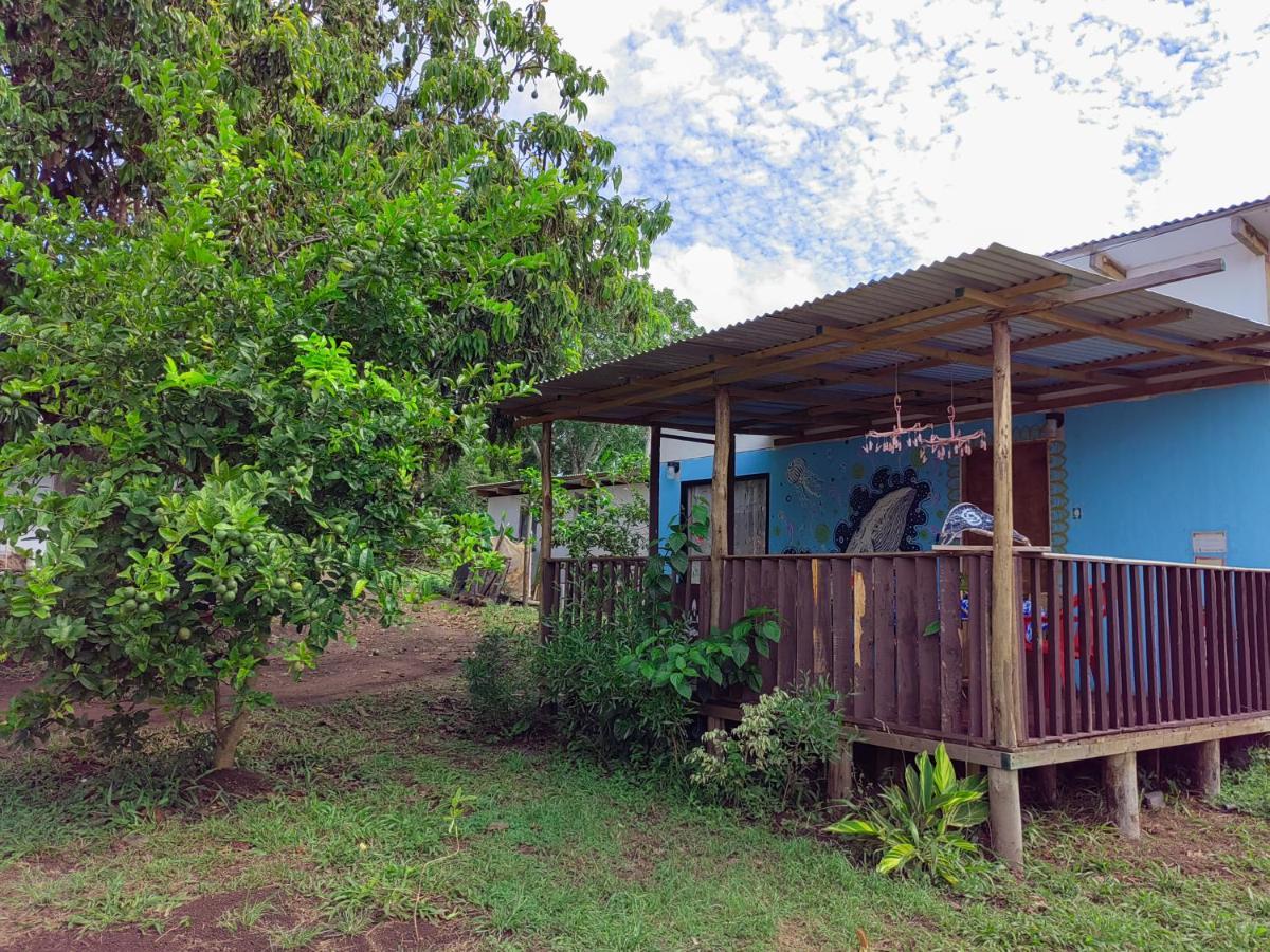 Cabanas Henua Roa ハンガ・ロア エクステリア 写真
